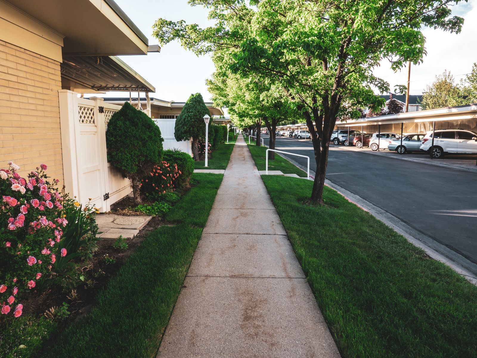 Concrete sidewalk running along a tree-lined residential street